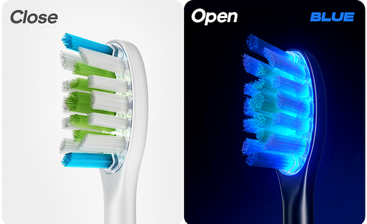 brush head